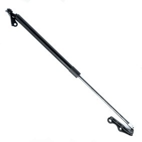 EINPARTS Gasveer achterklep EP9194GS