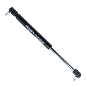 Spletna trgovina z EINPARTS Plinska vzmet, Prostor za prtljago / prtljaznik EP9896GS