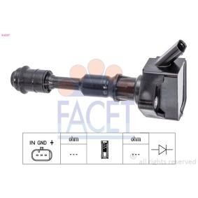 FACET Tennspole 9.6537