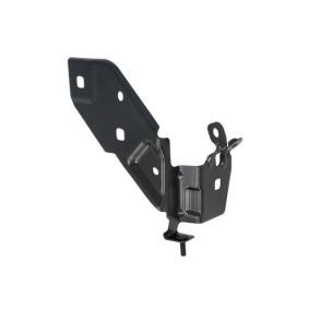 7802-03-6034384P BLIC aile RENAULT RAPID Kasten