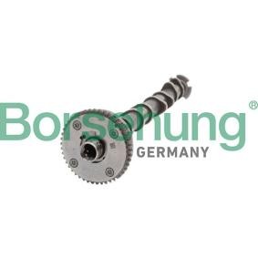 Borsehung Kamaksel B11319