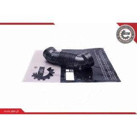 ESEN SKV Intake pipe, air filter 54SKV184