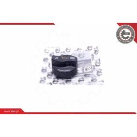 ESEN SKV Bouchon de remplissage d'huile 61SKV034