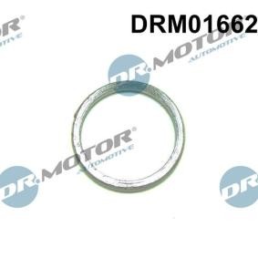 DR.MOTOR AUTOMOTIVE Joint de turbo DRM01662
