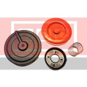 LCC Ölabscheider, Kurbelgehäuseentlüftung Repair kit, Membranventil TR1364
