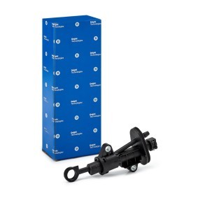 DELPHI Pääsylinteri, kytkin LM80743