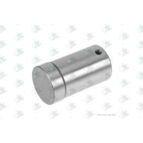 Euroricambi Boulon 95534217