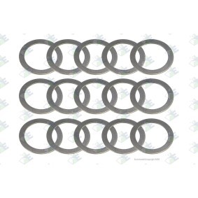 Euroricambi Rondelle de calage 95570210