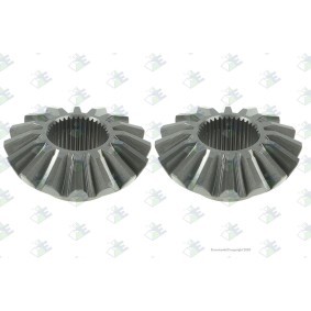 Euroricambi Planetary Wheel, outer planetary gear 56170245