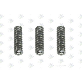 Euroricambi Vzmet 30530120