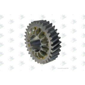 Euroricambi Planetary Wheel, outer planetary gear 56170397