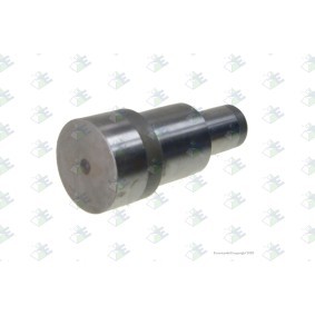Euroricambi Bolt 74530375