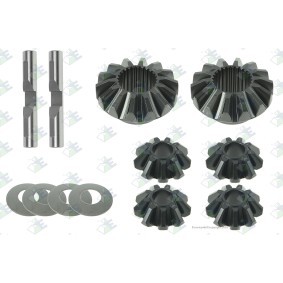 Euroricambi Repair Kit, differential 60171497