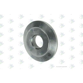 Euroricambi Anel de impulso 74530657