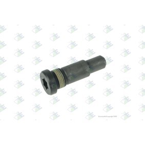 Euroricambi Bolt 60531671