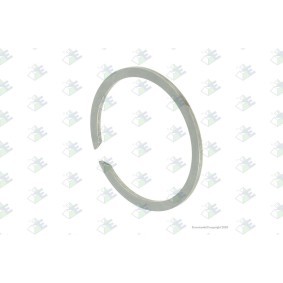 Euroricambi Anel de impulso 60532759