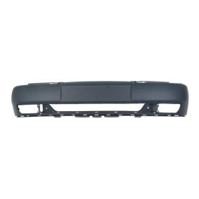 BLIC Bumper 5510-00-6607903Q