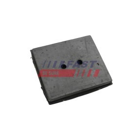 FAST Lagerung, Blattfeder FT13202