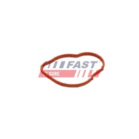FAST Pakning, termostat FT58305
