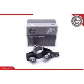 ESEN SKV Fusée d'essieu, suspension de roue 47SKV552