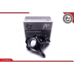 ESEN SKV Fusée d'essieu, suspension de roue 47SKV601