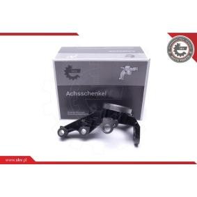 ESEN SKV Steering knuckle 47SKV691