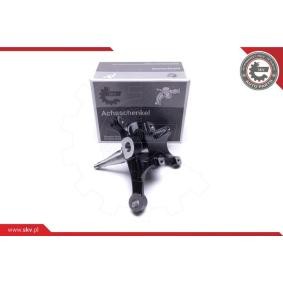 ESEN SKV Fusée d'essieu, suspension de roue 47SKV781