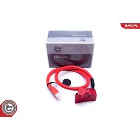 ESEN SKV Adaptateur de batterie 96SKV314