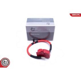 ESEN SKV Adaptateur de batterie 96SKV316
