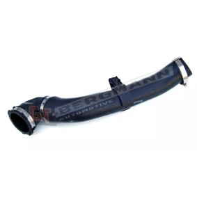 GT-BERGMANN Ladeluftslange GT52-060