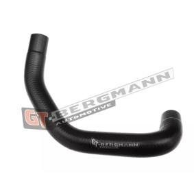 GT-BERGMANN Tubería de radiador GT52-202