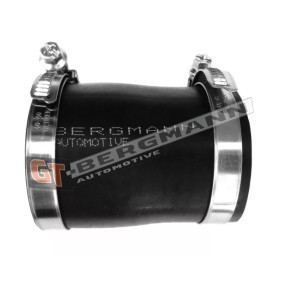 Купить GT-BERGMANN Трубка нагнетаемого воздуха GT52-229