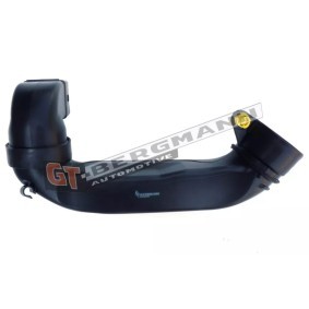 GT-BERGMANN Sugeslange, luftfilter GT52-255