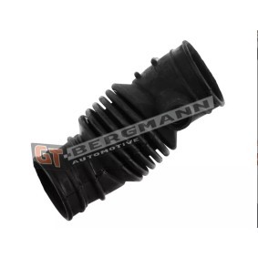 GT-BERGMANN Tubo flexible de aspiración, filtro de aire GT52-349