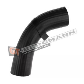 GT-BERGMANN Kompresoriaus padavimo žarna Guma su sutvirtinta tekstile, droselio korpusas, kairė, viršus GT52-545