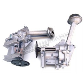 GT-BERGMANN Pompe à huile GT56-009