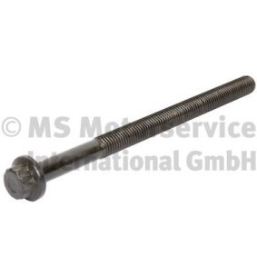 BF Biela 20080393608