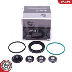 ESEN SKV Juego de reparación, bomba de combustible 96SKV933