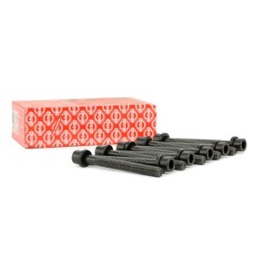 Купить ELRING Комплект болтов головки цилидра 819.824