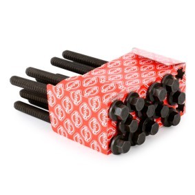 ELRING Jeu de boulons de culasse de cylindre 221.490