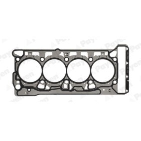 Spletna trgovina z PAYEN Tesnilo, glava valja (motorja) AH8110