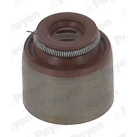 PAYEN Pakning, ventilstamme PA6127