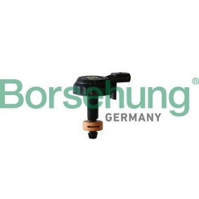 Borsehung Lås, bromsvätskebehållare B12302