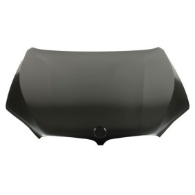 original BMW X5 BLIC Motorhuv 6803-00-0096282AP