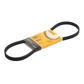 Spletna trgovina z CONTITECH Rebrasti jermen 4PK841