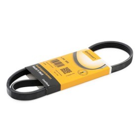 CONTITECH Moniurahihna 4PK885