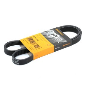 CONTITECH Multireim 1145mm, 5 5PK1145