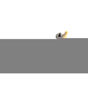 BOGAP Carril de deslizamiento, cadena de distribución A1313127
