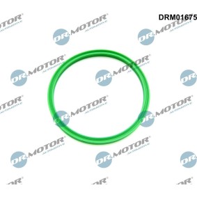 DR.MOTOR AUTOMOTIVE Bague d'étanchéité, gaine de suralimentation DRM01675