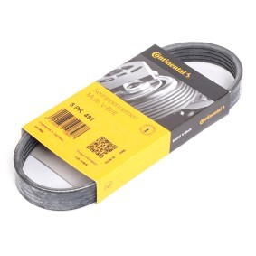 CONTITECH Correa trapecial poli V 5PK491